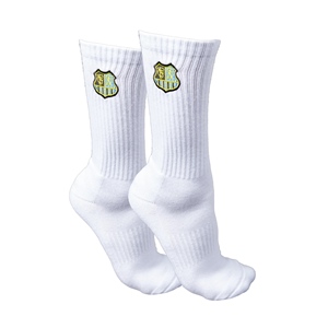 1. FCS WAPPEN LOGO SOCKEN