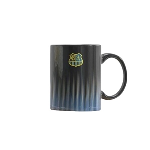 1.FCS LOGO TASSE